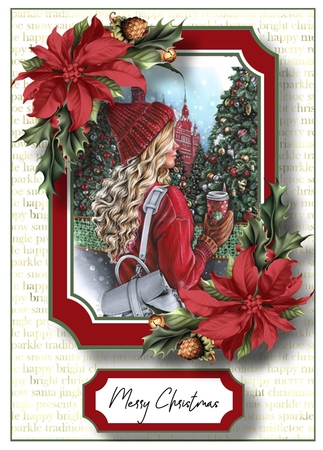 The Ladies Of Christmas 6 by Davina Rundle