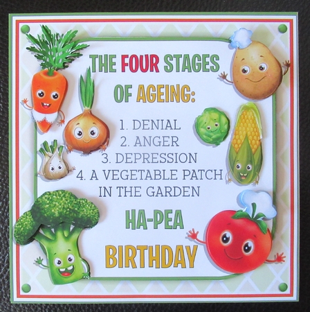 The Four Stages of Ageing  by Davina Rundle