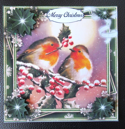 Winter Robins 2 Bumper Kit #1   by Davina Rundle