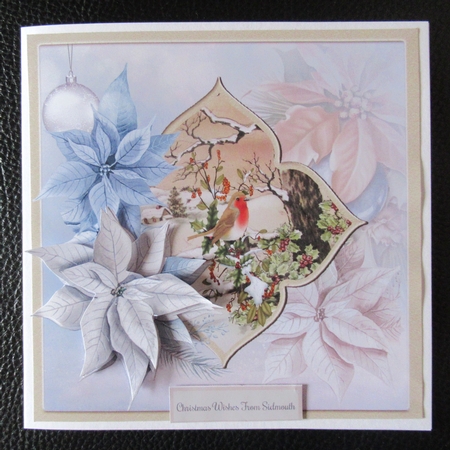Poinsettia and robin red breast 7x7 by Davina Rundle