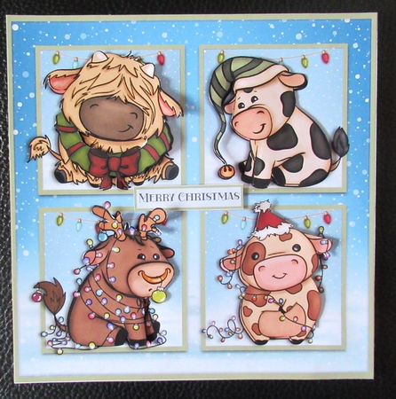 CHRISTMAS COWS by Davina Rundle