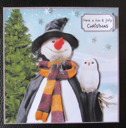 Harry Potter themed Snowman by Davina Rundle