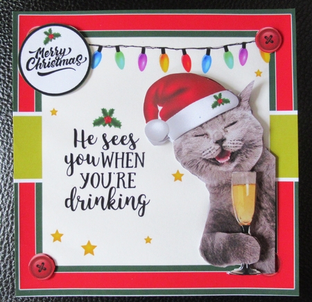 He Sees You When Youre Drinking by Davina Rundle