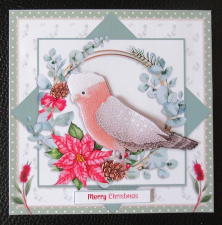 6X6 CHRISTMAS GALAH  by Davina Rundle