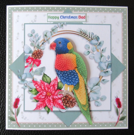 6X6 CHRISTMAS RAINBOW LORIKEET  by Davina Rundle