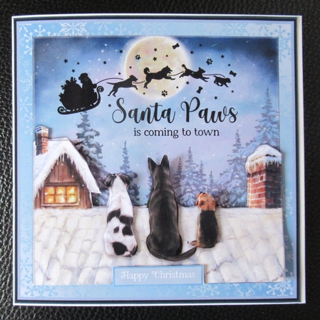 SANTA PAWS by Davina Rundle