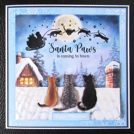 SANTA PAWS - CATS by Davina Rundle