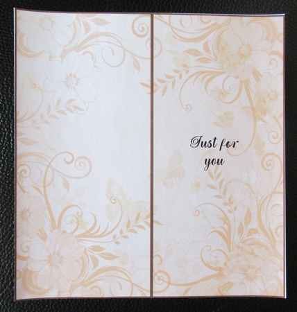 Floral & butterfly 15 x Standard size dl Inserts Kit 2 by Davina Rundle