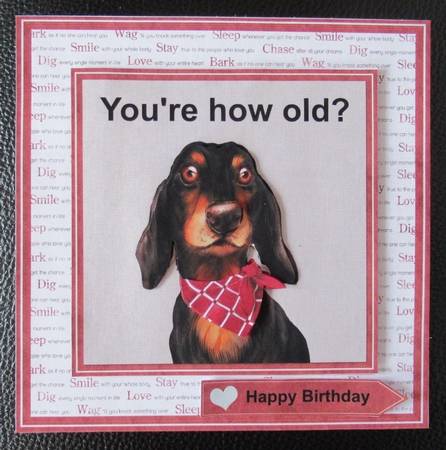 How old? Decoupage Card Mini Kit 7x7 by Davina Rundle