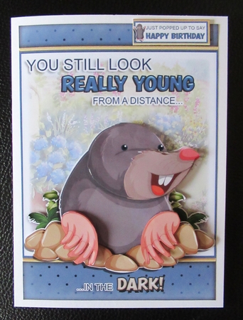 Holy Moley! by Davina Rundle