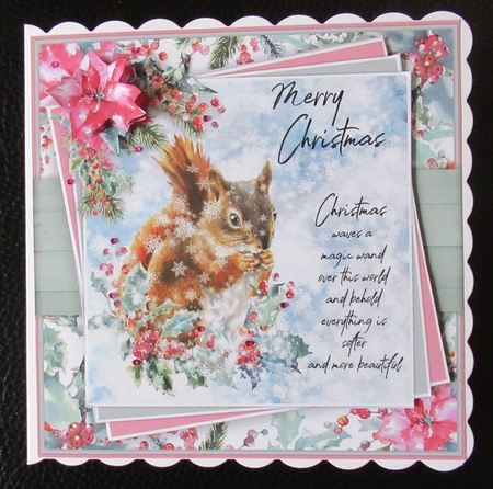 Winter Squirrel Collection by Davina Rundle