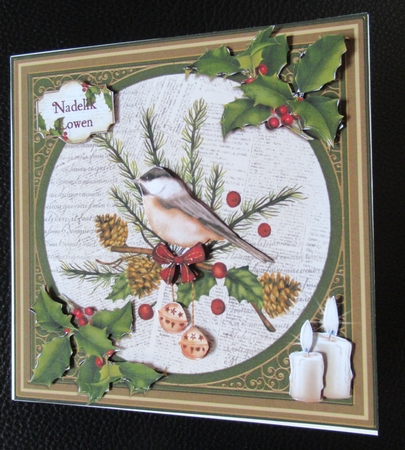 Birds and Holly by Davina Rundle