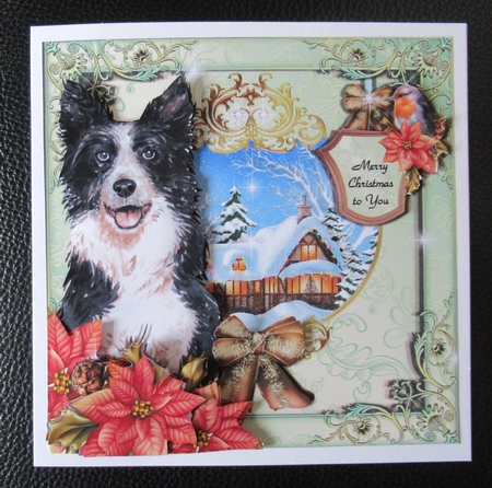 A Christmas Dream - Border Collie by Davina Rundle