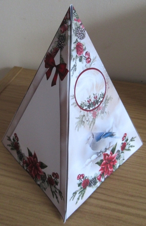 Winter Birds Pyramid Shaped Mini Page Kit by Davina Rundle