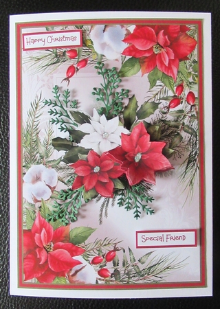 Poinsettia and holly A5 by Davina Rundle
