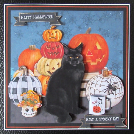 PUMPKIN CAT by Davina Rundle