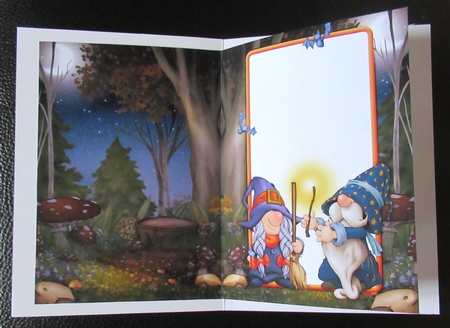 Halloween Witch and  Wizard Gnome Insert by Davina Rundle