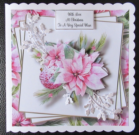 Beautiful Pink Poinsettia by Davina Rundle