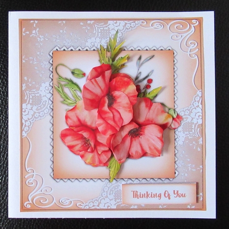 8x8 Mini Kit, Beautiful Poppys on Lace  by Davina Rundle