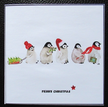 6x6 + Insert Baby Penguin Christmas by Davina Rundle