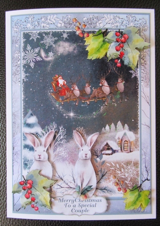 The Holly And The Ivy Bumper Kit 4 by Davina Rundle