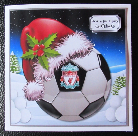 Liverpool Fan Christmas by Davina Rundle