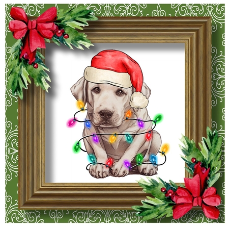 Santas Little Helper - Golden Labrador by Davina Rundle