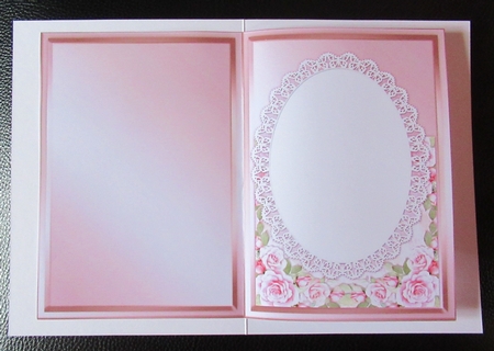 Insert A5 baby Girl by Davina Rundle