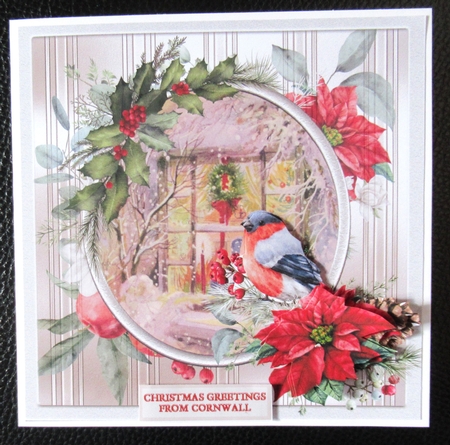 Bullfinch  at the window 7x7 by Davina Rundle