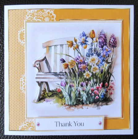Lace Stripped Frames-Flower Beauty by Davina Rundle