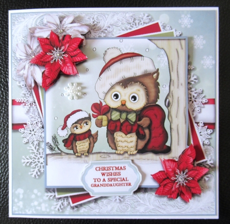Have a hooting xmas by Davina Rundle