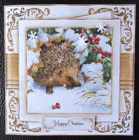 12 Sweet Animals Christmas Bumper Set by Davina Rundle