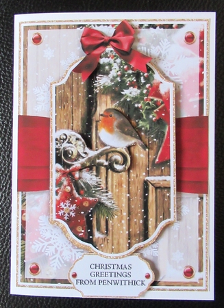 Night Garden Robin 7x5 No.1 by Davina Rundle