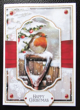 Night Garden Robin 7x5 No.3 by Davina Rundle