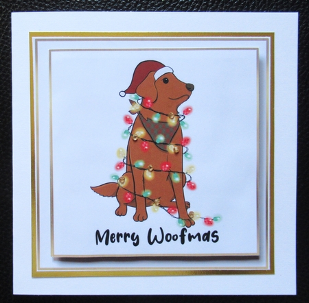 Christmas Animal Helper - Dog by Davina Rundle