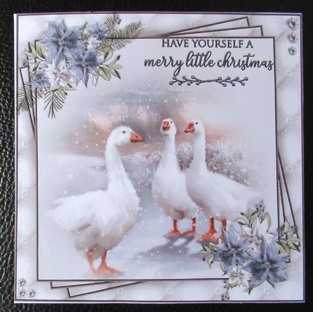 Winter Wildlife 2 Mini Kit #2   by Davina Rundle