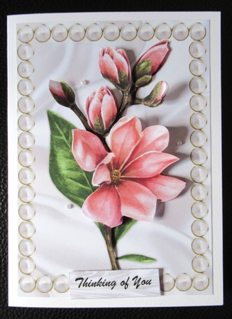 A5 Pearl Frame Magnolias by Davina Rundle