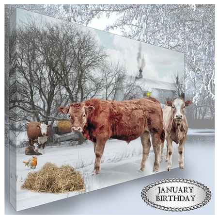 winter cows by Davina Rundle