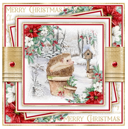 Hedgehog Christmas 7x7 inch No.1 by Davina Rundle