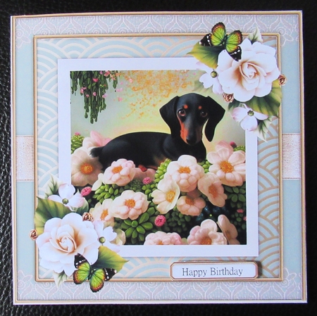 Dachshund by Davina Rundle