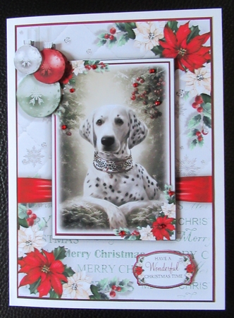The Christmas Dalmatian by Davina Rundle