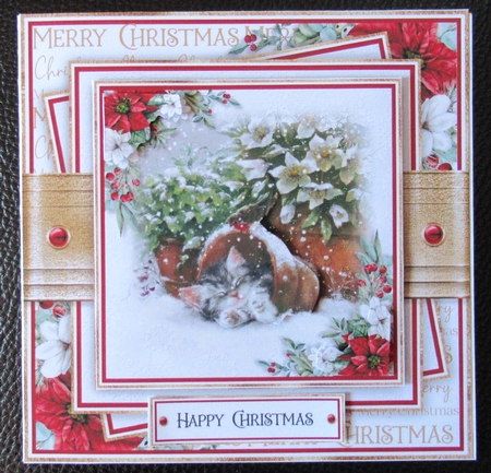 Mixed Christmas Animals Open Book 7x7 inch by Davina Rundle