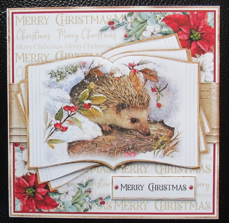 Mixed Christmas Animals Open Book 7x7 inch by Davina Rundle