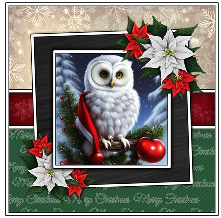 The Christmas Owl by Davina Rundle