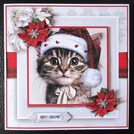Kitty Wishes by Davina Rundle