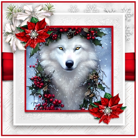 White Winter Wolf by Davina Rundle