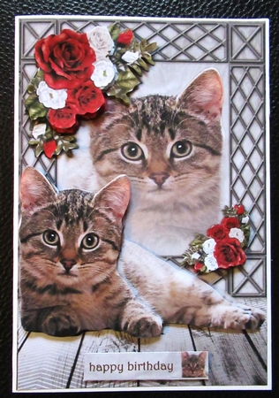 Purrrfect Birthday nr, 2 by Davina Rundle