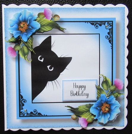 Peeking Cat With Blue Poppies by Davina Rundle