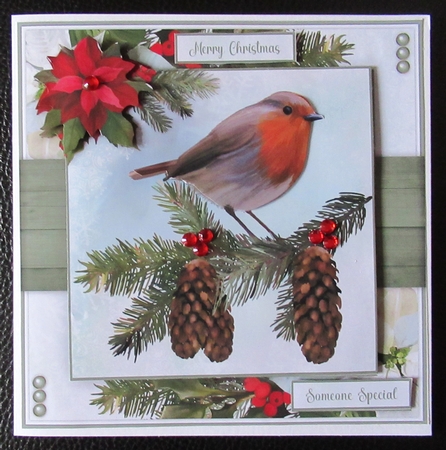 Robin and Pinecones Mini Kit by Davina Rundle