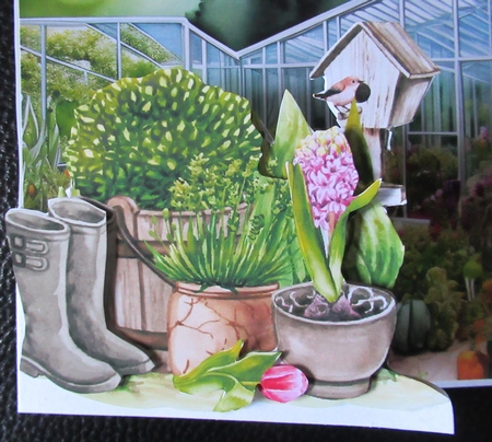 Step By Step The Garden by Davina Rundle
